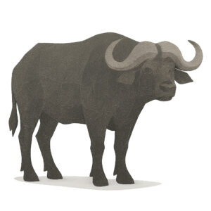 アフリカスイギュウ