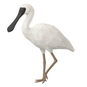 クロツラヘラサギ