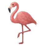 フラミンゴ