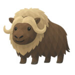 ホッキョクジャコウウシ