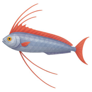 リュウグウノツカイ