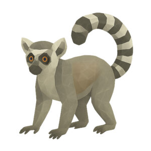 ワオキツネザル